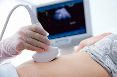 Obstetrics, gynecology, embryology